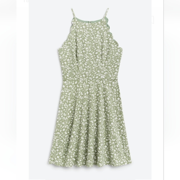 Fortune + Ivy Dresses & Skirts - New Green Scallop Knit Dress Sleeveless Fortune + Ivy Women's Size XXL